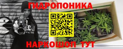 прущие грибы Изобильный