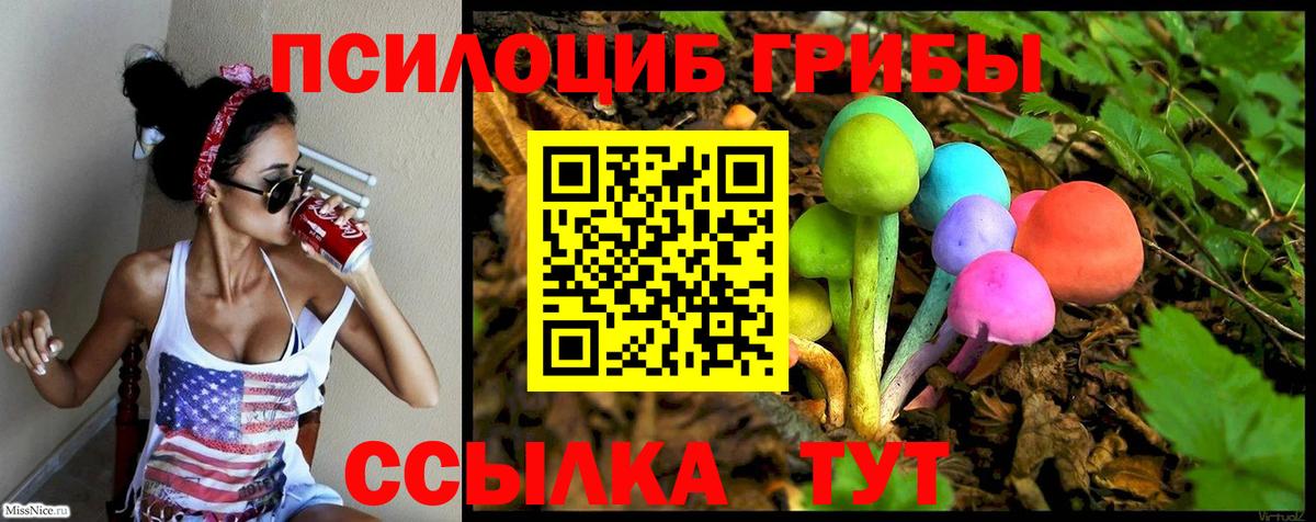 Галлюциногенные грибы GOLDEN TEACHER Ульяновск