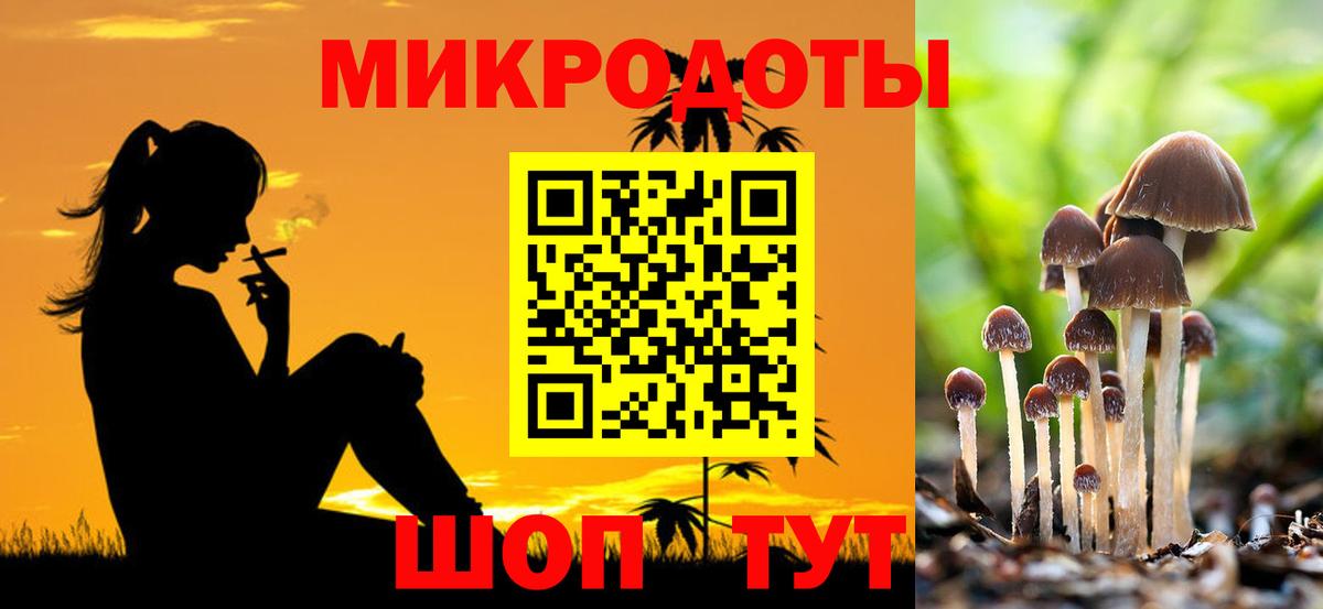 Галлюциногенные грибы GOLDEN TEACHER  Вход с VPN  Ульяновск  Галлюциногенные грибы Psilocybine cubensis 